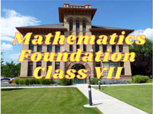 Mathematics (Foundation) - Class VII
